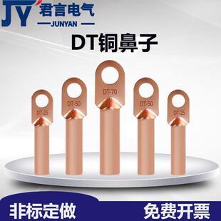 DT铜鼻子国标厂标非标加工铜接线端子铜接线鼻堵油式铜线耳