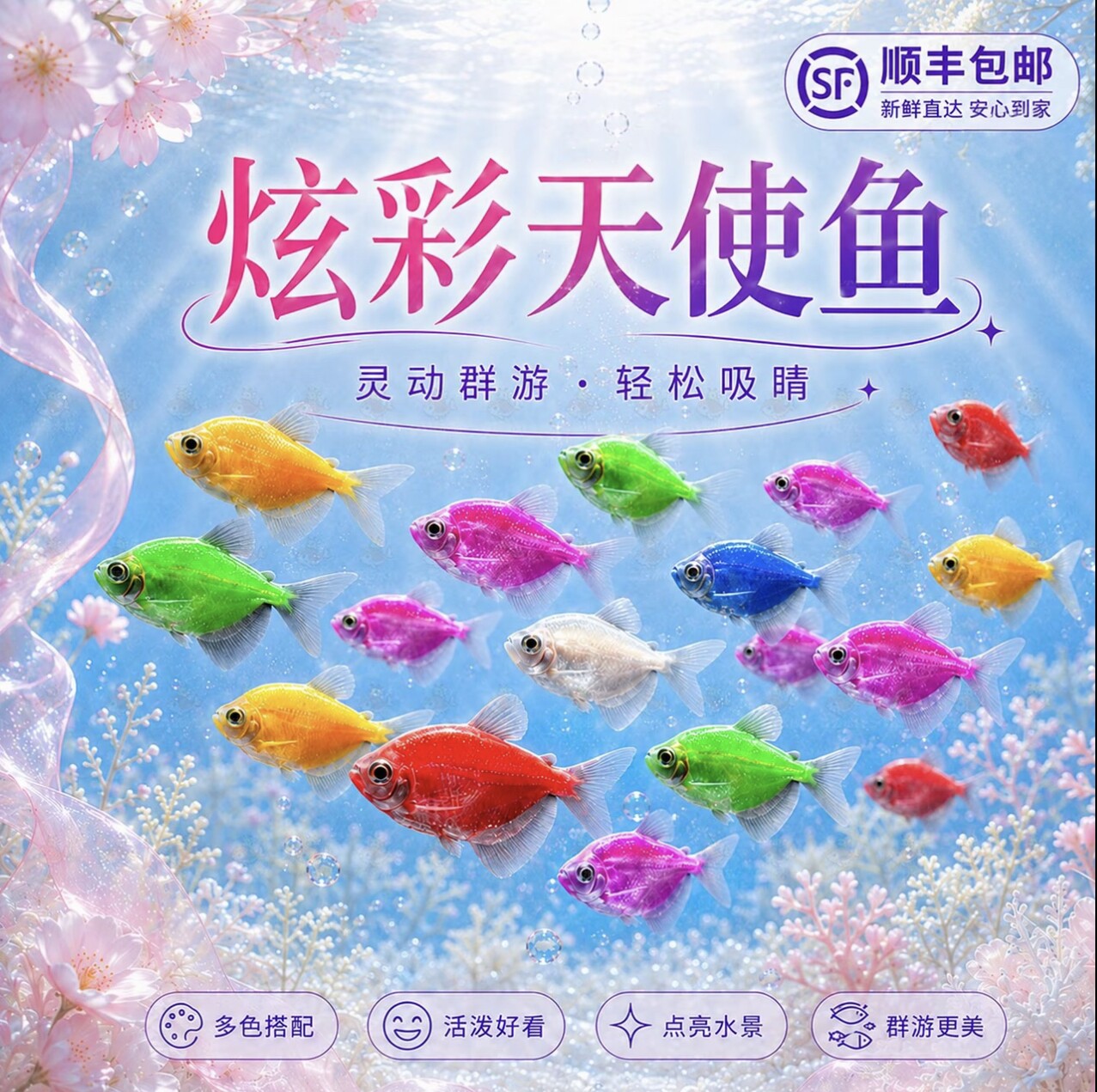 天使鱼观赏鱼淡水鱼群游鱼淡水鱼小鱼适合混养热带鱼好养耐活鱼苗