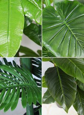 植假物盆栽财树厅客假树室内dpfc装饰树落发地花假花大型绿道