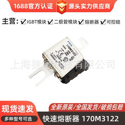 170M3122170M3142170M3144直流快速熔断器电子元器件库存充足