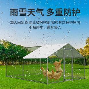 鸡笼子鸡棚家用养殖笼鸽笼大号特大孔雀养鸡笼子防老鼠蛇搭建户外