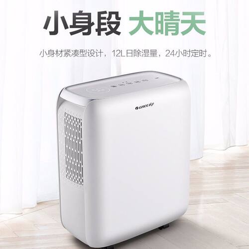 除湿机家用低噪除潮小型抽湿机吸湿除湿器室内干燥机DH12EN