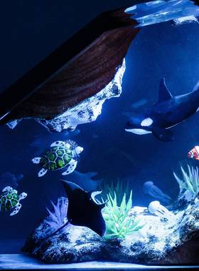 虎鲸和海龟LY068制树脂夜灯海洋灯工作的家居装饰环氧树圣脂诞手