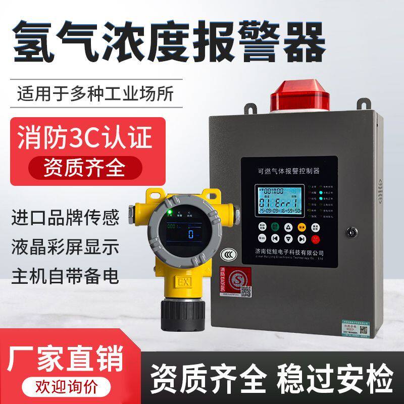 氢气泄漏探测报警器工业防爆实验室充电站仓库用H2气体浓度检测仪
