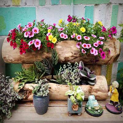 户外庭院观多肉花盆花箱创意景造景阳台大特头大枯木KHY木花号槽