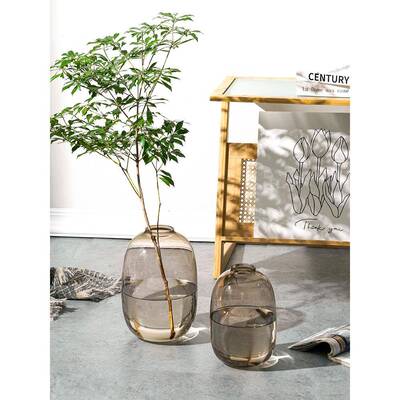 花感瓶件JC-XYY玻璃水培鲜吊钟摆雪柳马醉木水养插花花客厅落地装