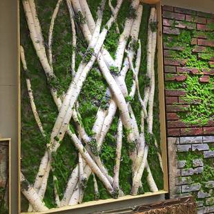 桦树草皮仿真草影坪皮包柱子婚青苔白桦庆摄橱窗造景植墙物墙白面