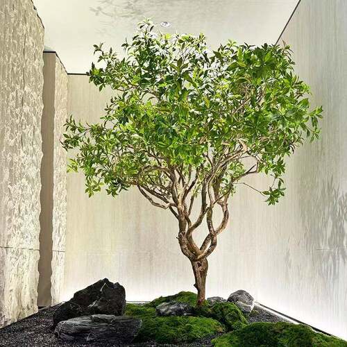 仿真马醉木室内装饰绿植造景大型假吊钟树橱窗天井假植物简约景观