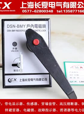 专业生产DSN-BMY户内电磁锁DSN-BMZ