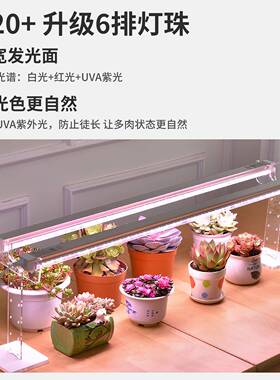 8T0植物STO灯生长全光谱仿太阳室内家用花卉光照T上色多肉补光2灯