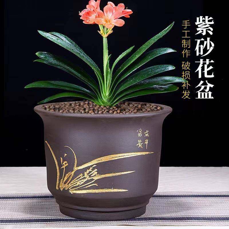君子盆盆子紫砂仓款专用花盆高档新陶瓷y6mRc1lJ兰清兰花,家居饰品,餐桌花艺,淘宝优惠券,粉丝福利购,淘宝优惠卷