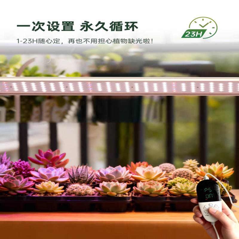 徒全光物谱leUSWd多肉补仿光灯家用热植上色快防长太阳光花卉植生