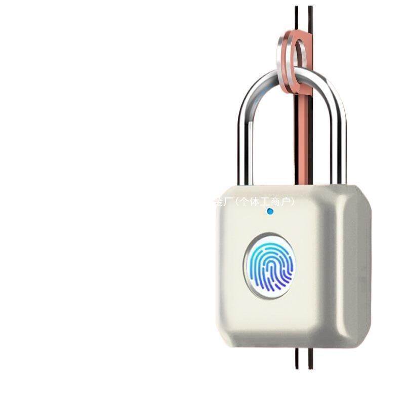 智能指纹挂锁密码锁户外防水小锁钥匙家用大号锁头电子大门锁