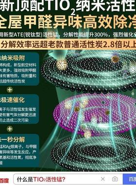 活性用包除甲醛除味炭新车房竹炭包家F9899M5T装修吸甲醛剂新去味