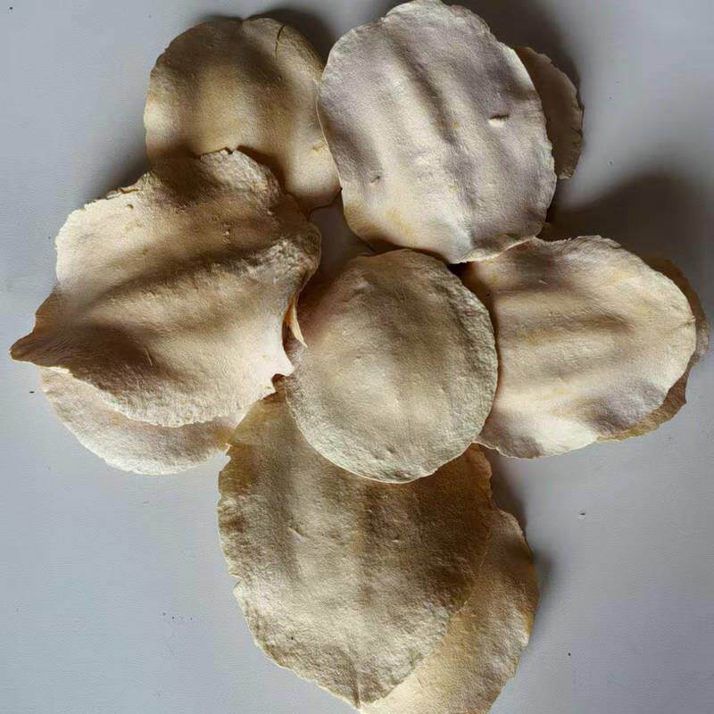 天然物龟壳道干花照具桌面装饰摆件创拍植意diy干花材-料干果