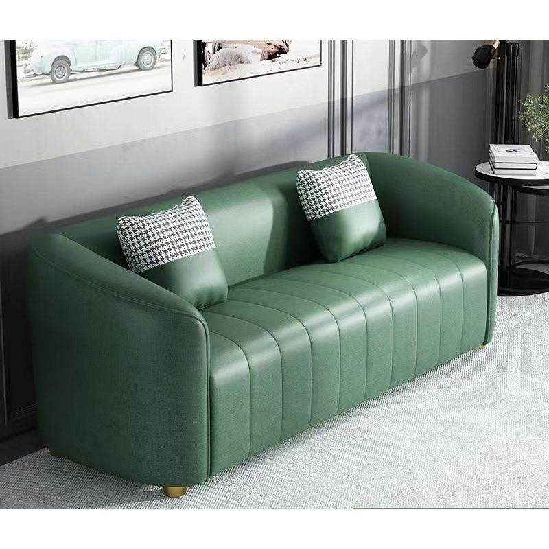 家庭客厅沙发布艺轻奢现代简约科技布小型家用小户型双人位出租房,农用物资,其他肥料,淘宝优惠券,粉丝福利购,淘宝优惠卷