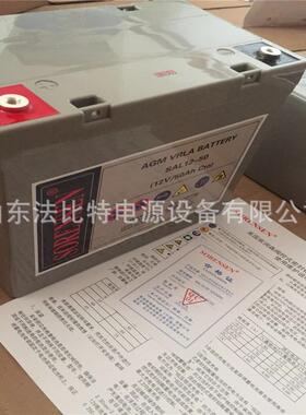 索瑞森铅酸蓄电池SAL12-50免维护12v50ah应急电源索瑞森SAL12-50