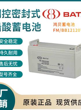 鸿贝蓄电池FM/BB12120T12V120AH联保电源备用电子设备