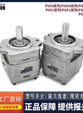 Rexroth力士乐齿轮泵PGH/PGM4/5-30/20/100/125/PVV4/714液压油泵