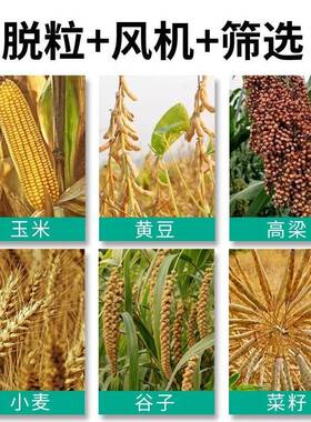 多能脱机玉功米剥皮机小家用型大豆高粱水SIW稻谷子苞谷撕皮脱粒