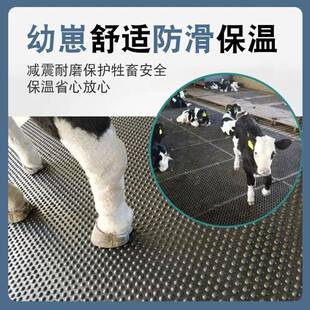 养牛场MLU胶地垫防温水防潮耐磨减震马厩用橡垫羊圈橡胶猪仔保橡