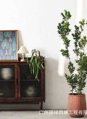 艺北欧花盆复古脚F99101-F术客厅室内外商场地大号鸭木青棠落盆栽