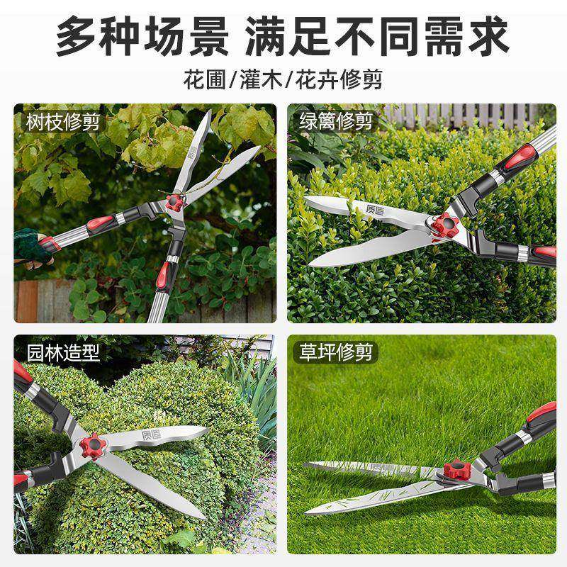 园艺剪树家用坪修剪QVL枝修专剪用绿草篱剪粗枝强力园林大剪刀,鲜花速递/花卉仿真/绿植园艺,剪刀,淘宝优惠券,粉丝福利购,淘宝优惠卷