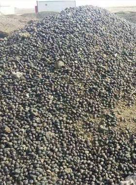 蒙古黄子发酵FSS羊粪蛋内蛋腐袋熟盆栽料化肥羊粪颗粒果园纯肥羊