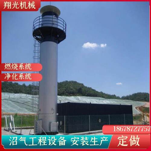 50立方沼气燃烧火炬外燃不锈钢沼气火炬系统配置参数