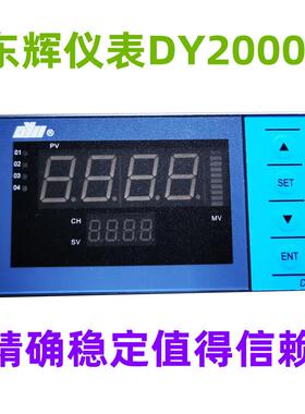 东辉仪表DY21B00PDY21B02DY21B20PDY21B06PDY21B02-PT100