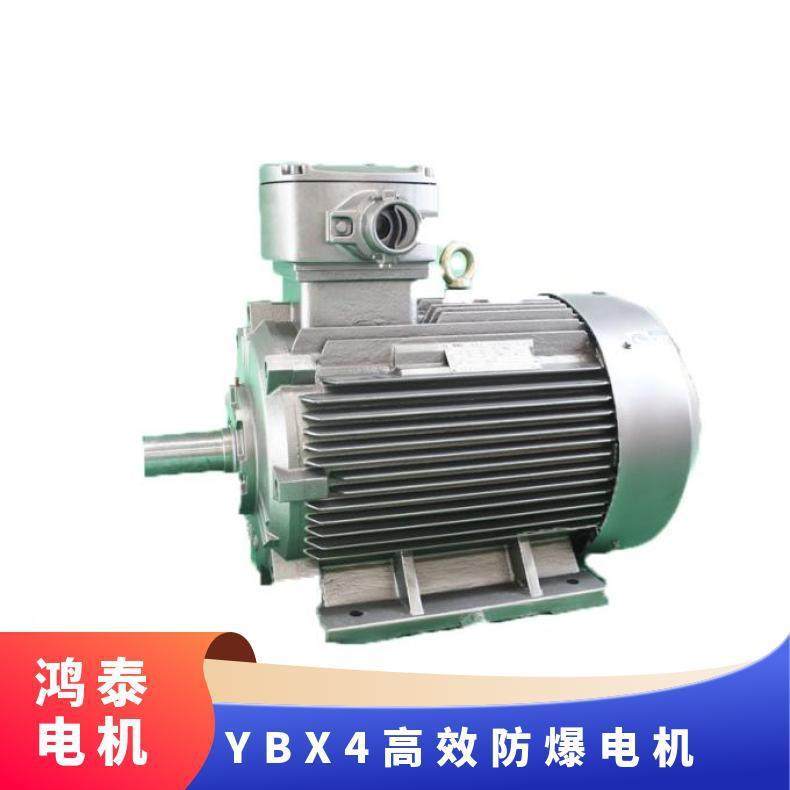 鸿泰隔爆三相异步电机tYBX4-160L-6t11KWt380Vt隔爆结构合理