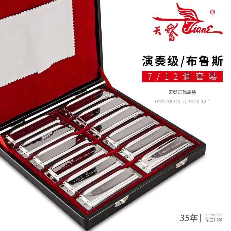天鹅10孔布鲁斯口琴全音阶蓝调十孔ABCDEFG12调口琴套装初学者