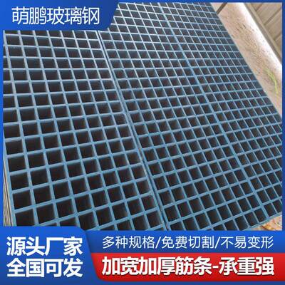 网厂供应玻璃钢地格栅鸽舍网小孔DFP格板漏粪家板4S洗车房漏水板