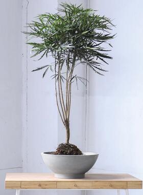 阳园林简工FR245业风方形镁约泥花盆别户外庭院墅亿景观