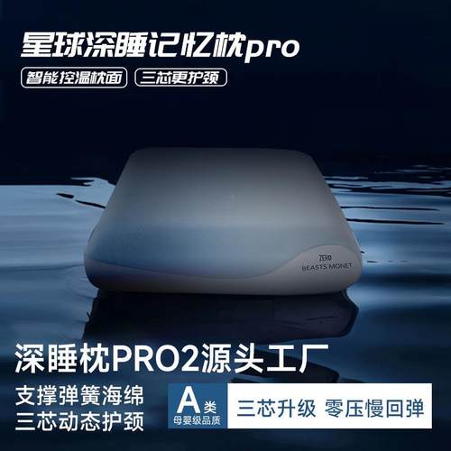 记忆13P芯棉枕头枕芯酒店同记款深睡枕ro2慢回弹忆枕护颈椎三护P