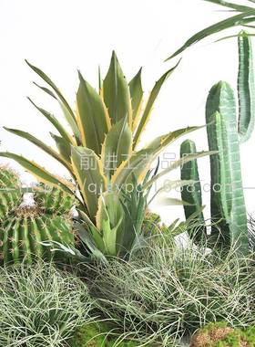 热带绿55689s植景观室内展厅仿真兰植物盆巴西栽铁龙舌人球盆栽仙