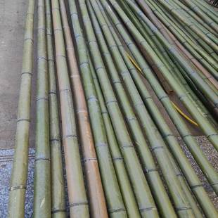 竿子粗毛竹楠竹3米4竹竹56装修搭架婚长OVY礼装饰