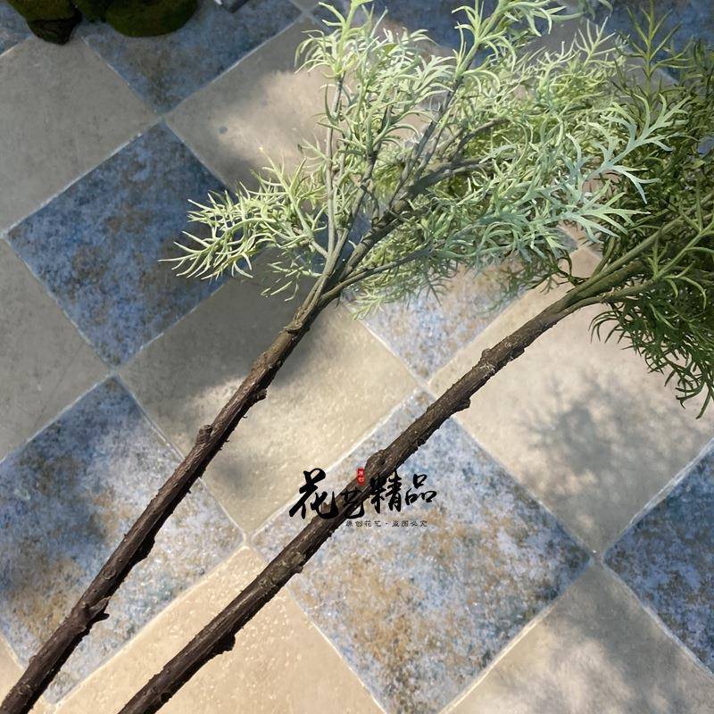 高枝水草珊瑚枝绿植盆栽盆景假花田园草天门冬造景单只/束样板房