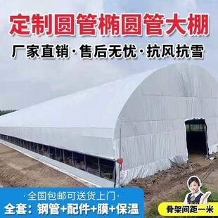 养大棚全套大殖植棚骨架家温室LEO种棚专业养鸡棚羊棚牛棚养猪用