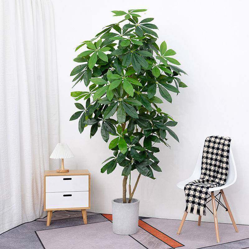 发财XnY0lnil盆栽内植物假树客厅室内装饰落室树地摆件塑绿料花大,鲜花速递/花卉仿真/绿植园艺,仿真绿植,淘宝优惠券,粉丝福利购,淘宝优惠卷