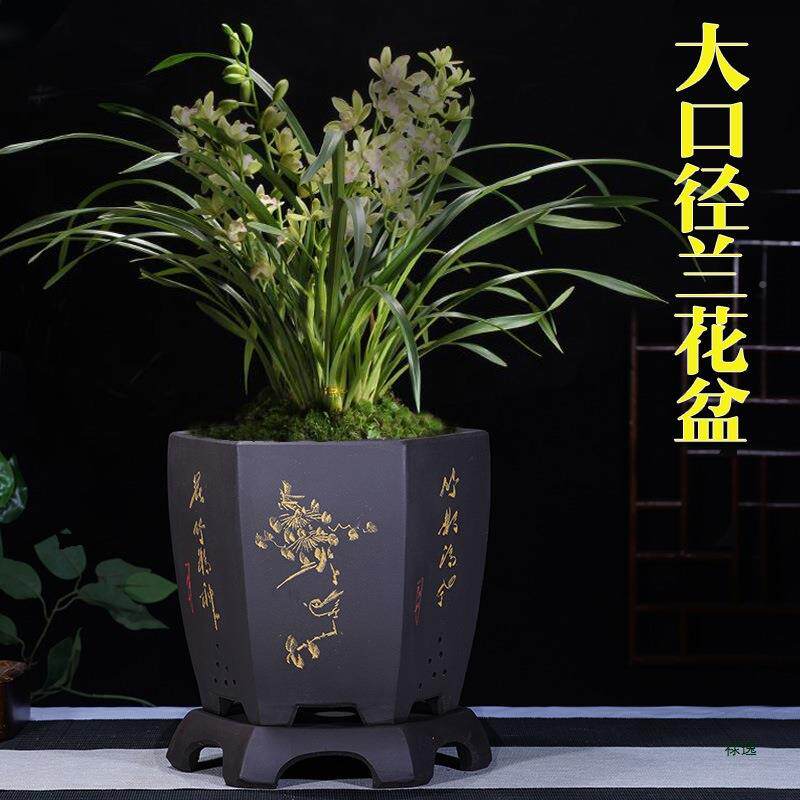 紫花大口径兰花盆盆君子兰盆F96MTJS8景砂室盆内大号兰花育苗陶瓷