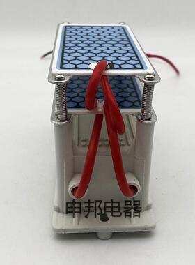氧1申邦-0100g臭氧发生器工业车臭生器间工业发臭氧发生器