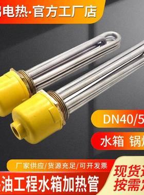 大N功率热管D加502寸加热管DN0导热油水箱4加热管锅炉法兰加铜头3
