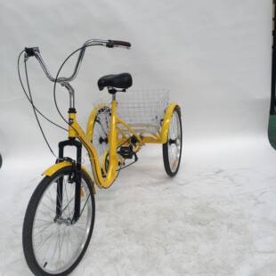 天51826津厂家承出口力三轮人车老年人车力三轮车接欧式人力三轮