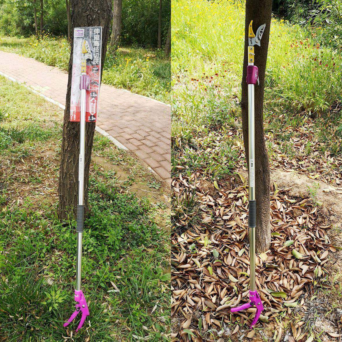 伸缩采高LUF枝剪高枝修果剪伸缩高枝锯1.-3米可伸缩采果枝8剪剪枝,鲜花速递/花卉仿真/绿植园艺,剪刀,淘宝优惠券,粉丝福利购,淘宝优惠卷