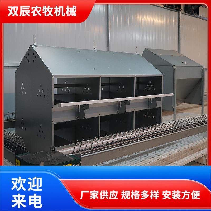 箱2穴蛋鸡用下蛋箱两层鸡产产蛋4屋规格多样加厚材质种鸡NBZ设备