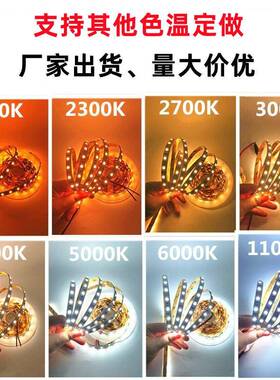 高亮准色温12V24V200K2300K2700K300准色温灯000K4000K500K600灯0