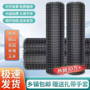 加厚护塑料围栏网网养殖果园菜圈园地防网网格网玉米网拦鸡RBR网