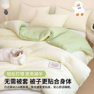 A类大豆纤维被子被芯四季 通用学宿春YZY001人秋被保暖生冬被舍单
