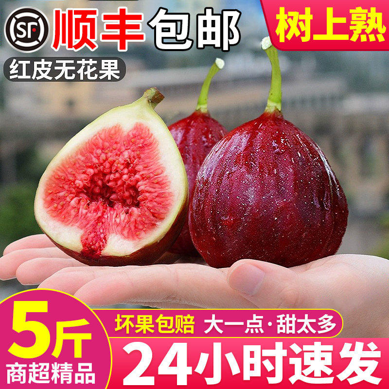 【顺丰冷链】无花果鲜果新鲜现摘水果青红皮大果特级当季整箱包邮